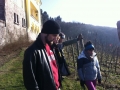 maz15-taille-hiver-002