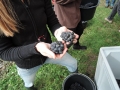 dscn5444