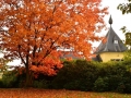 BAS_0956