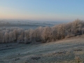 BAS_1870