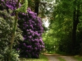 BAS_3782