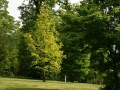 BAS_3791