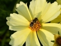 MAC_0502